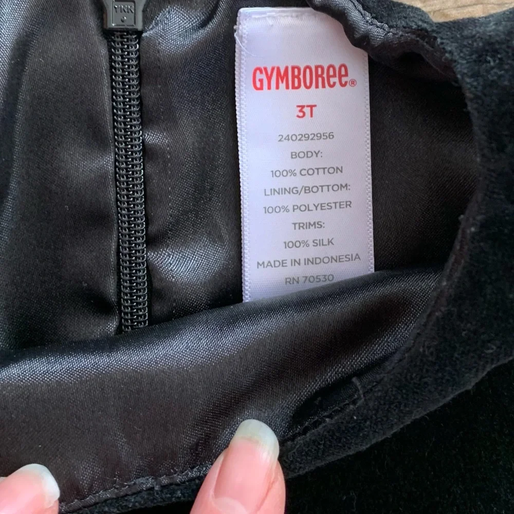 Gymboree velour party dress